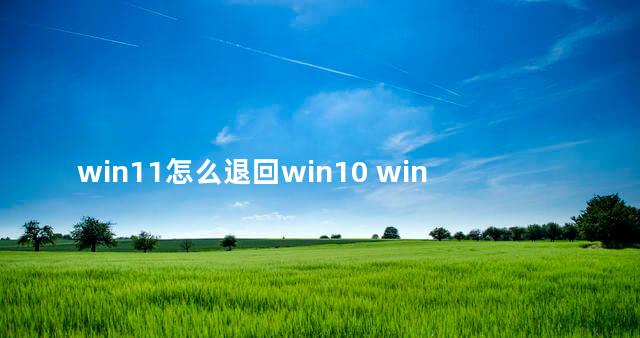 win11怎么退回win10 win11怎么退回win10没有返回选项